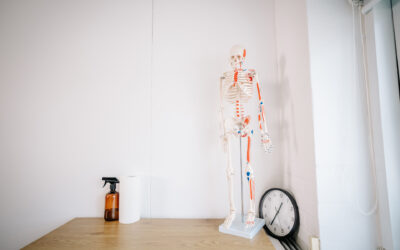 Hvad er Fascia, og hvordan påvirker det din krop?