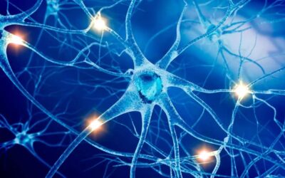 Smerter og de tre komplekse systemer